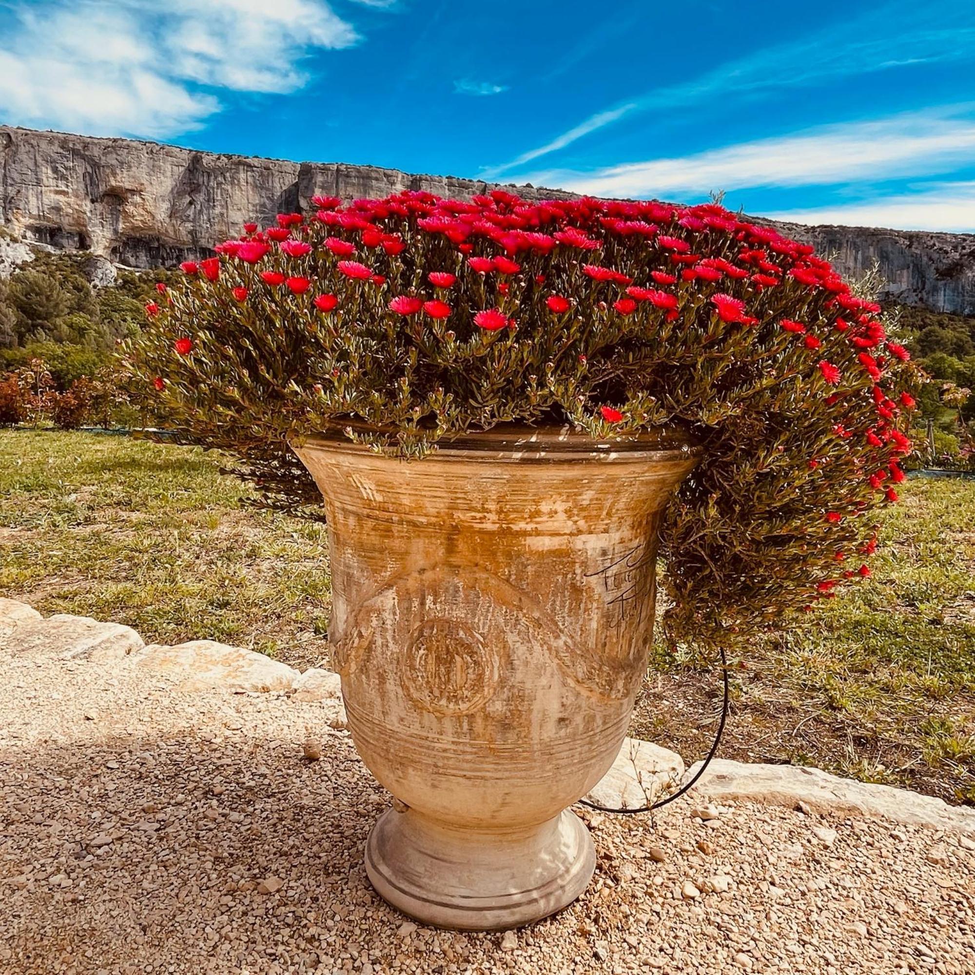 Gite La Madeleine Du Luberon. Lioux エクステリア 写真
